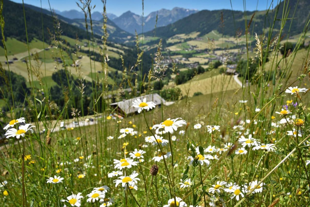 Haus Dorferstuck Διαμέρισμα Alpbach Εξωτερικό φωτογραφία